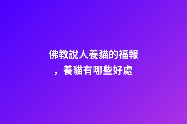 佛教說人養貓的福報，養貓有哪些好處